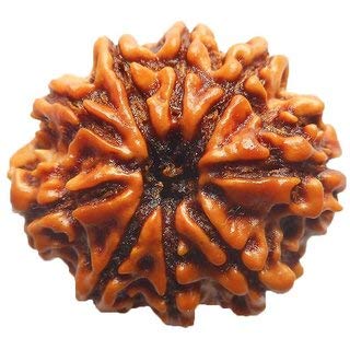 RUDRAKSHA - Vaibhav Pratisthan