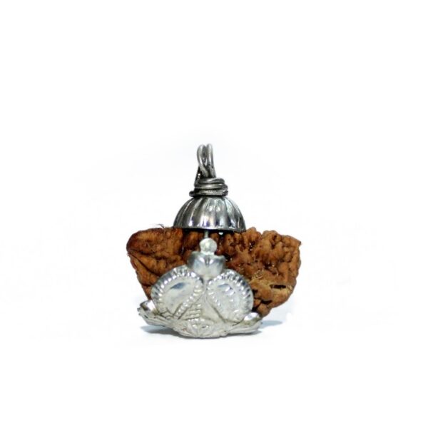 1 Mukhi Rudraksha