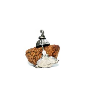 1 Mukhi Rudraksha