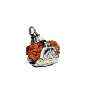 1 Mukhi Rudraksha