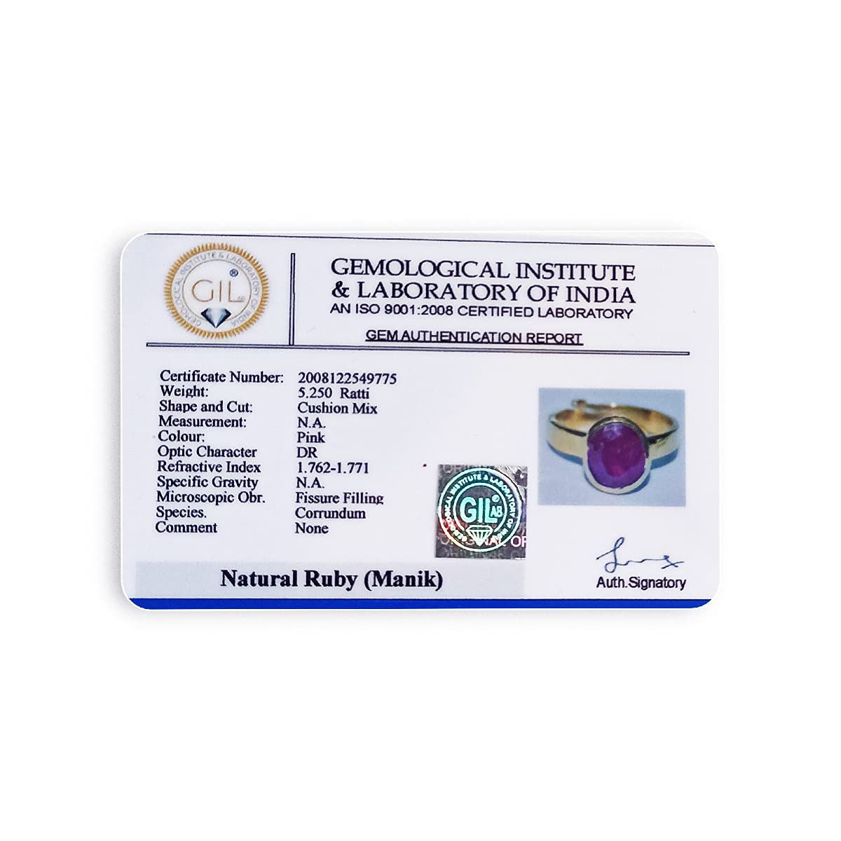 613BIgwHQ7S._UL1200_