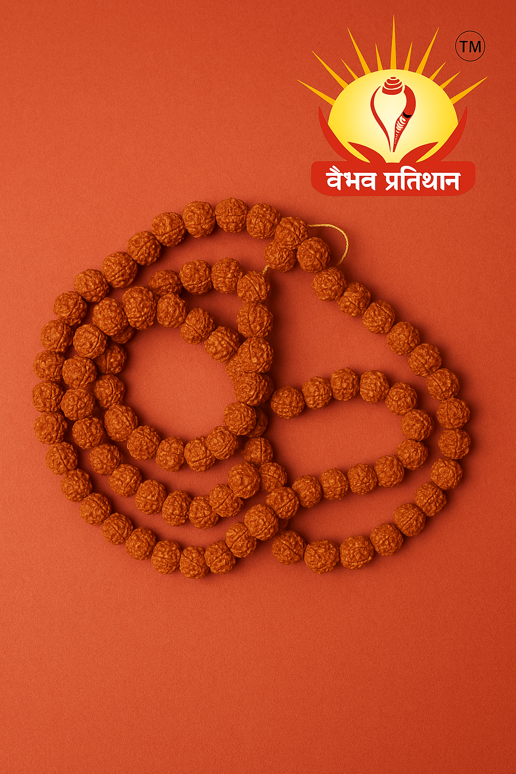 ChatGPT Image Apr 24, 2025, 01_52_35 PM